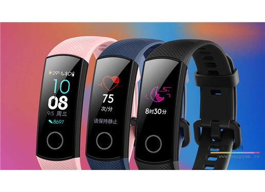 荣耀 手环4（标准版）