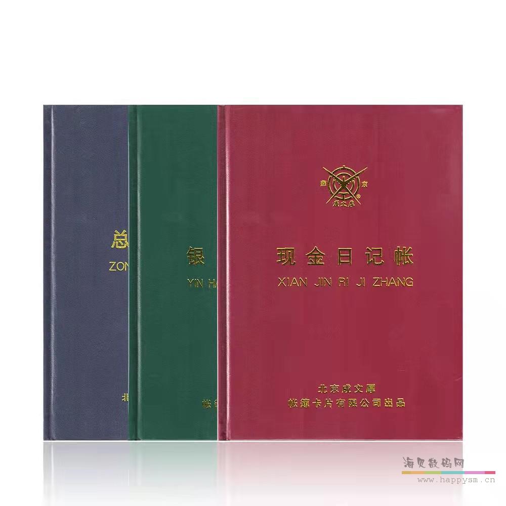 现金日记账 100页