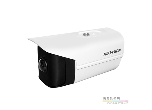 海康威视 DS-2CD3T45DP1-1