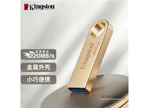 金士顿 DTSE9 G3 U盘