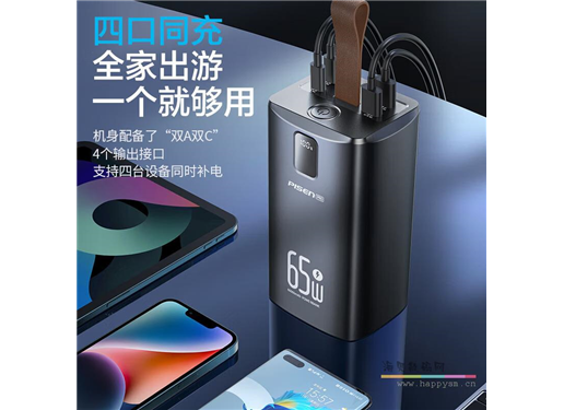 品胜 PISEN PRO 65W快充电库60000(TP-D24)