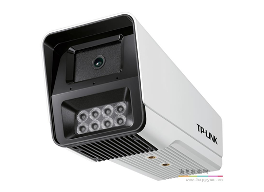 TP-LINK 538GP 300万像素PoE筒形音频红外网络摄像机