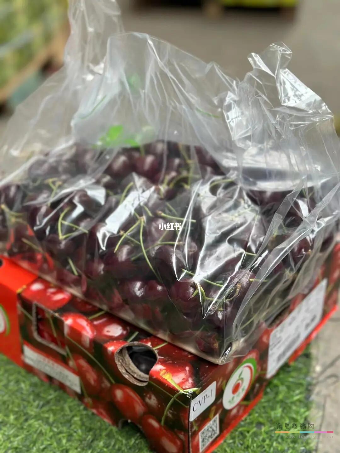 2J 28mm-30mm 桑提娜 黑车