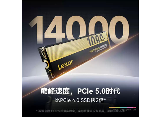 雷克沙 NM1090 PRO 固态硬盘