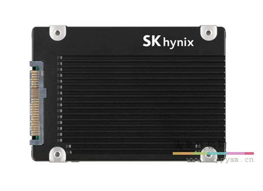 海力士  PS1012 固态硬盘 HSSD
