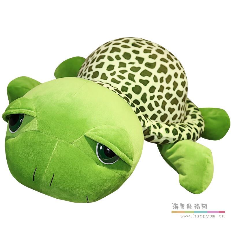 小乌龟 绿色