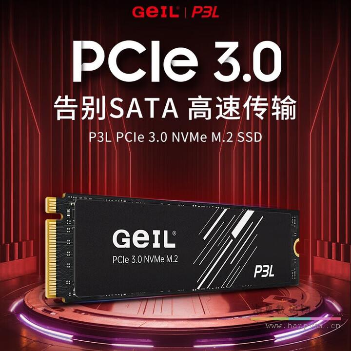 金邦 P3L SSD 固态