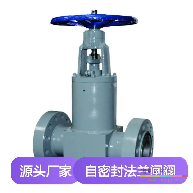 自密封法兰闸阀 PZ41Y-900LBC-50