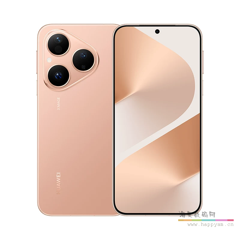 丝绒金 12GB+256GB