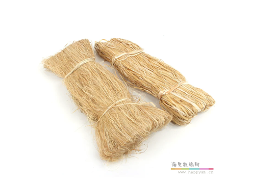 黄麻