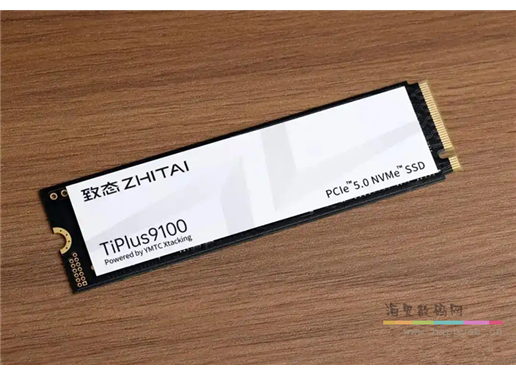 致态 TiPlus 9100 固态硬盘 PCIE5.0 M.2 无缓存 4通道主控