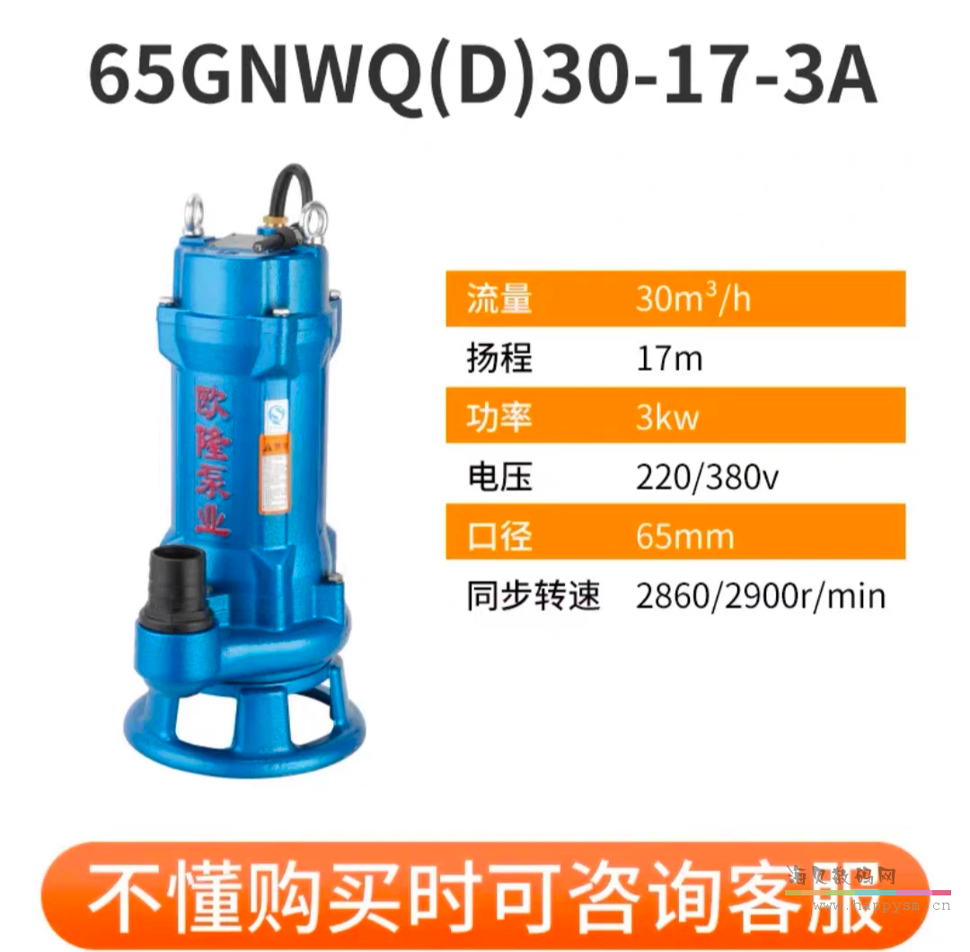 65GNWQ(D)30－17－3A两寸半丝口
