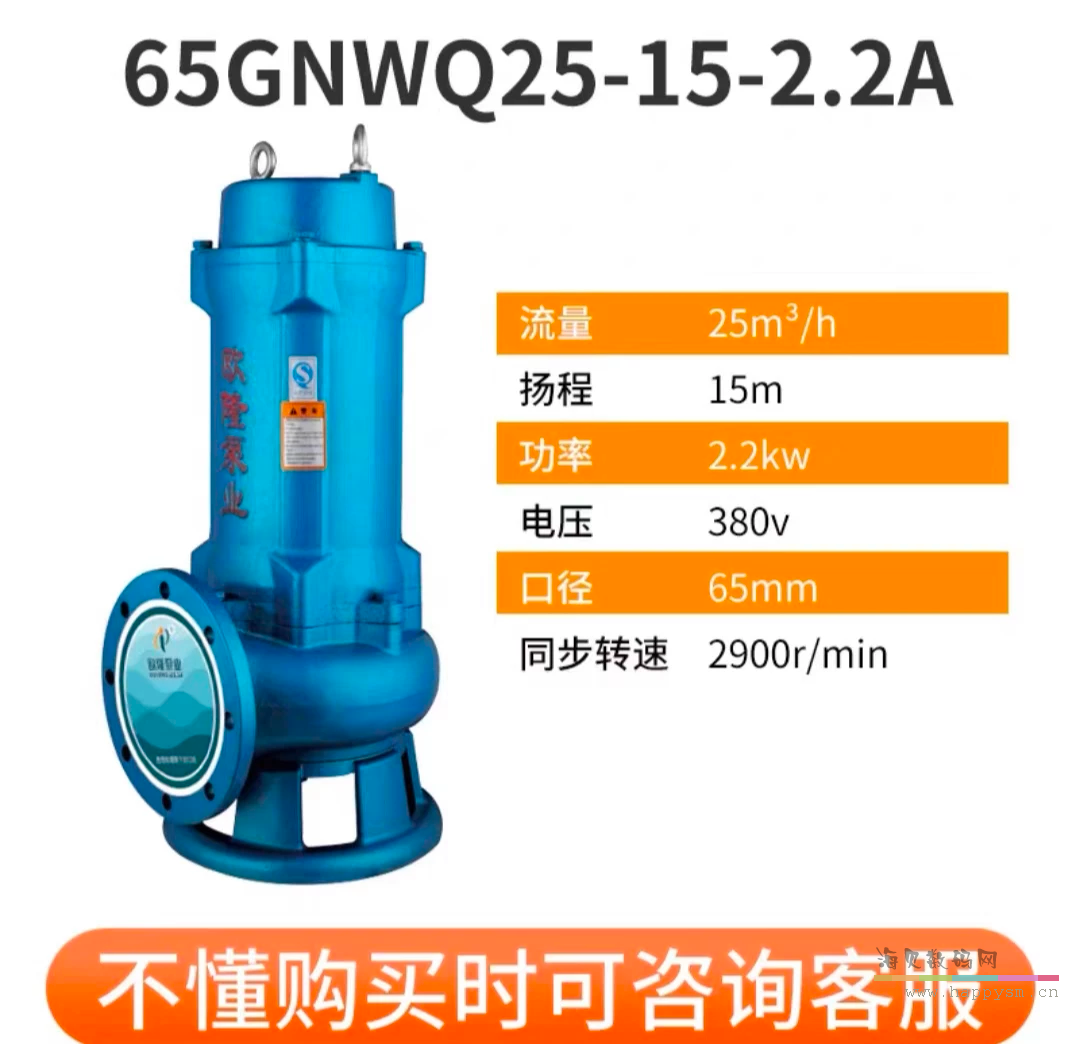 65GNWQ25－15－2.2A两寸半法兰口