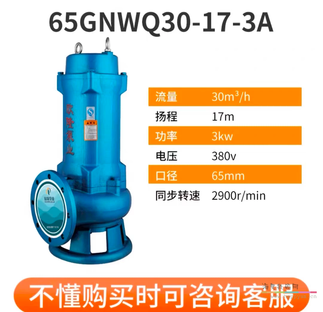 65GNWQ30－17－3A两寸半法兰口