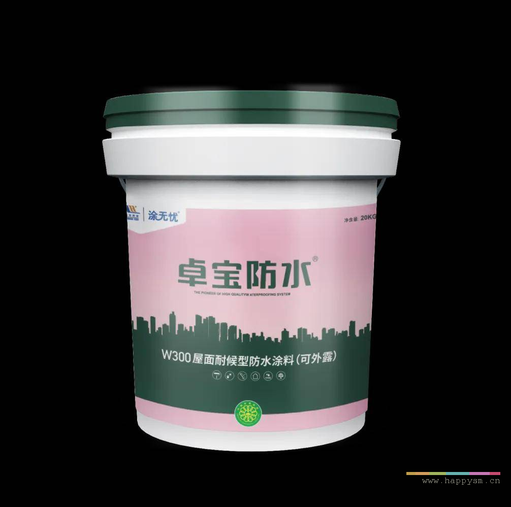 W300 屋面防水涂料 单组分