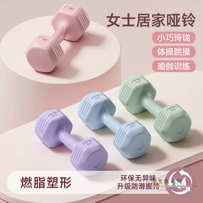 斯奕 哑铃健身 小号