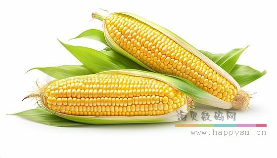 微信图片_2026-07-17_141749_187.jpg 微信图片_2026-07-17_141749_187.jpg