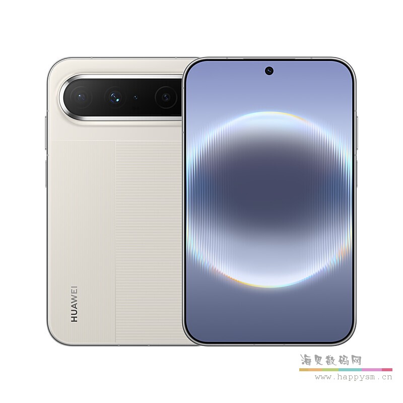 亚麻灰 12GB+256GB