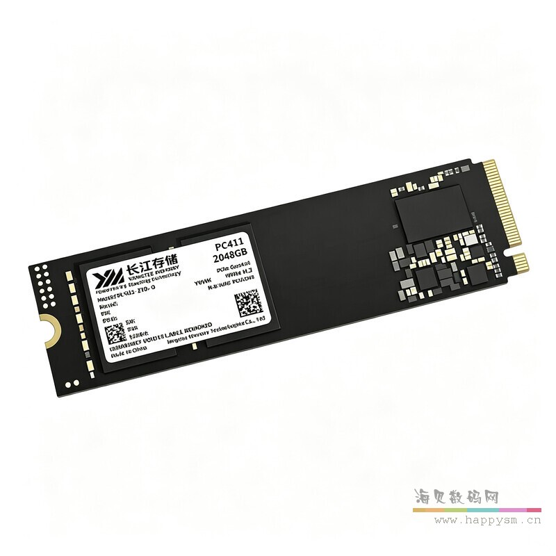 PC411 1T  M.2  2280