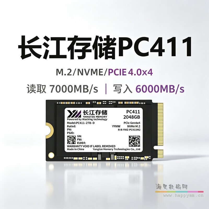 PC411 1T  M.2  2242