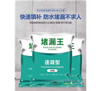 堵漏王